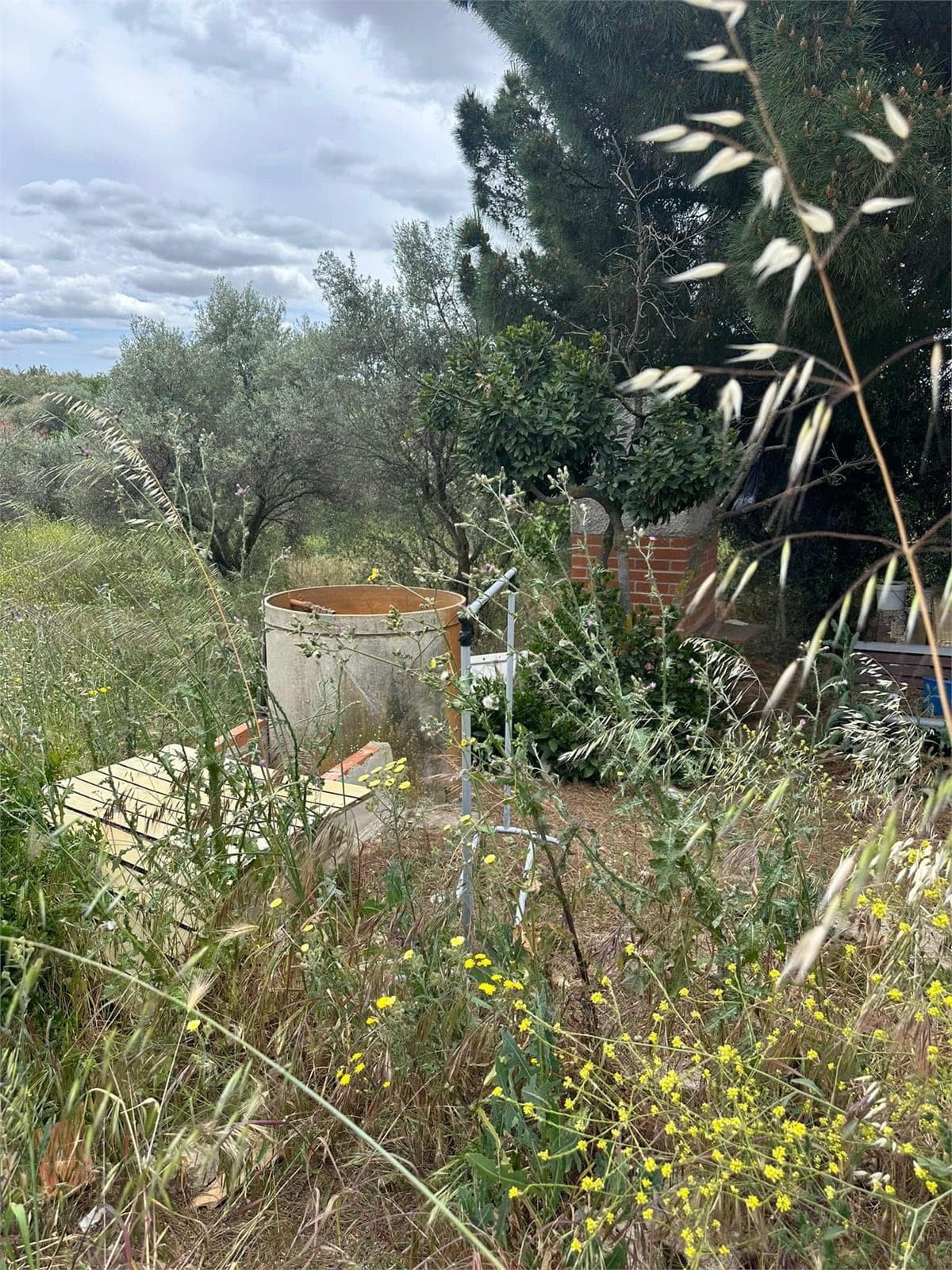 Inmueble recuperado en el Viso de San Juan precarios - Imagen 11